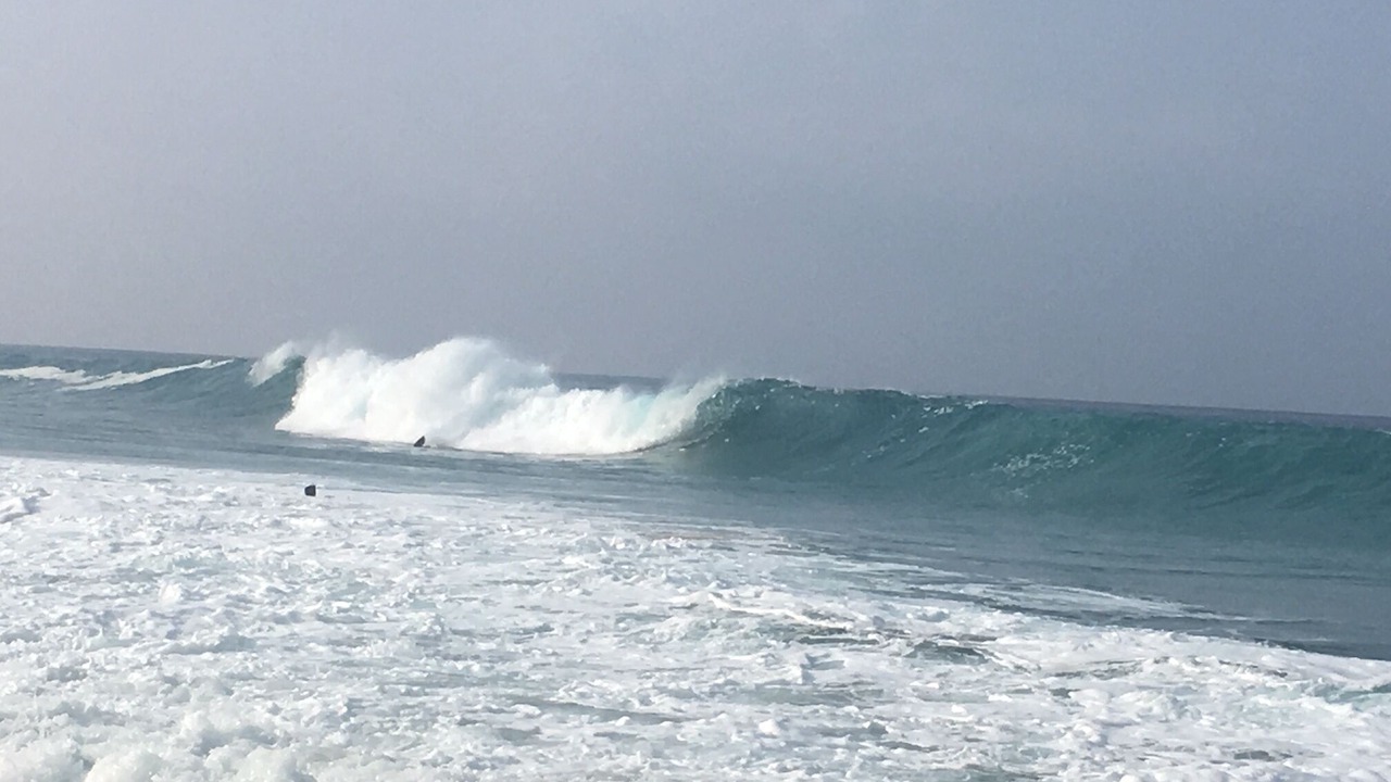 Photo of Others in Kahaluu Bay