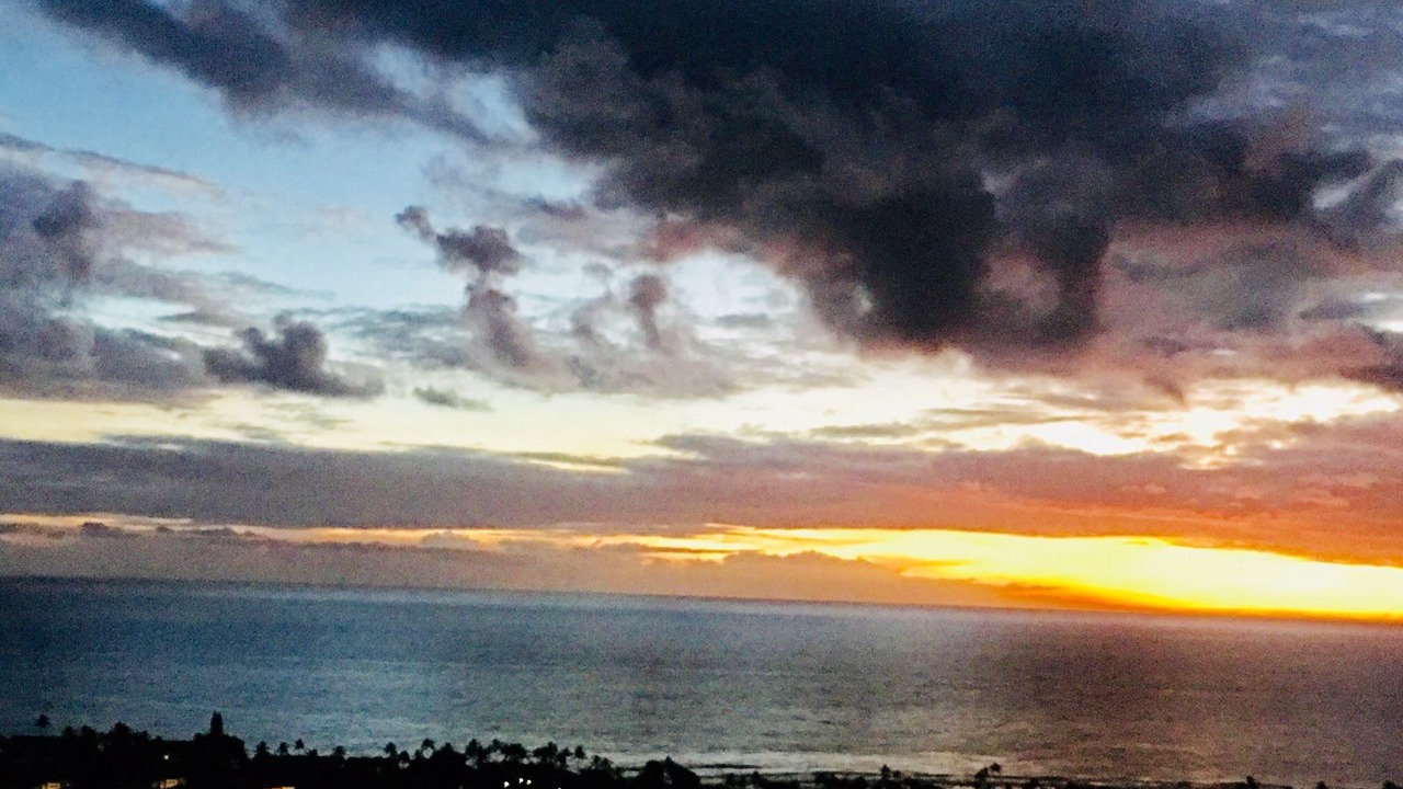 Photo of Others in Kahaluu Bay