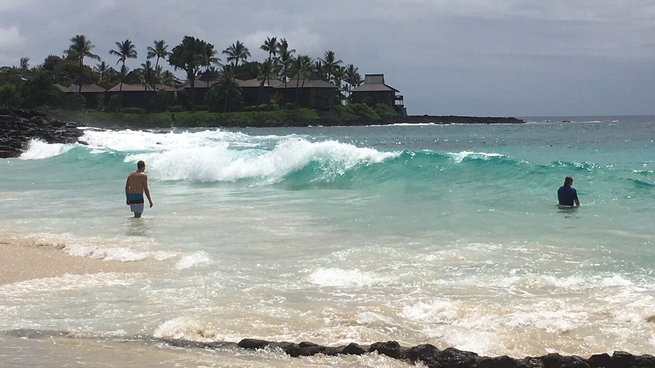 Photo of Others in Kahaluu Bay