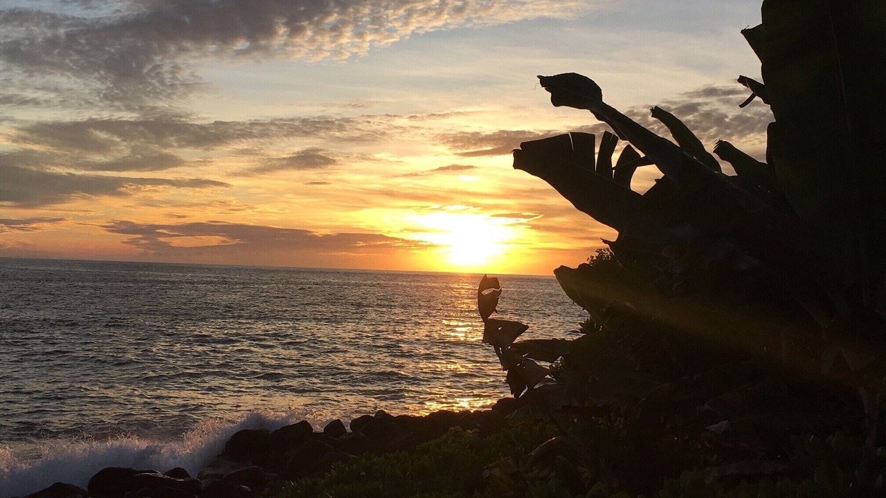 Photo of Others in Kahaluu Bay