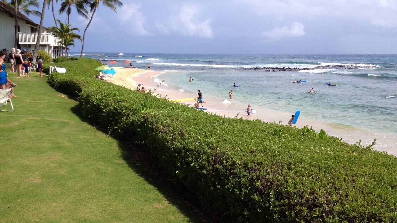 Photo of Others in Poipu
