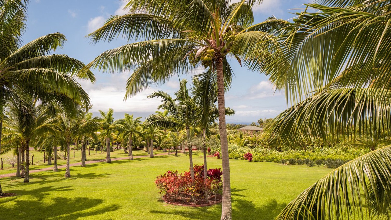 Photo of Outdoor in Hamakuapoko