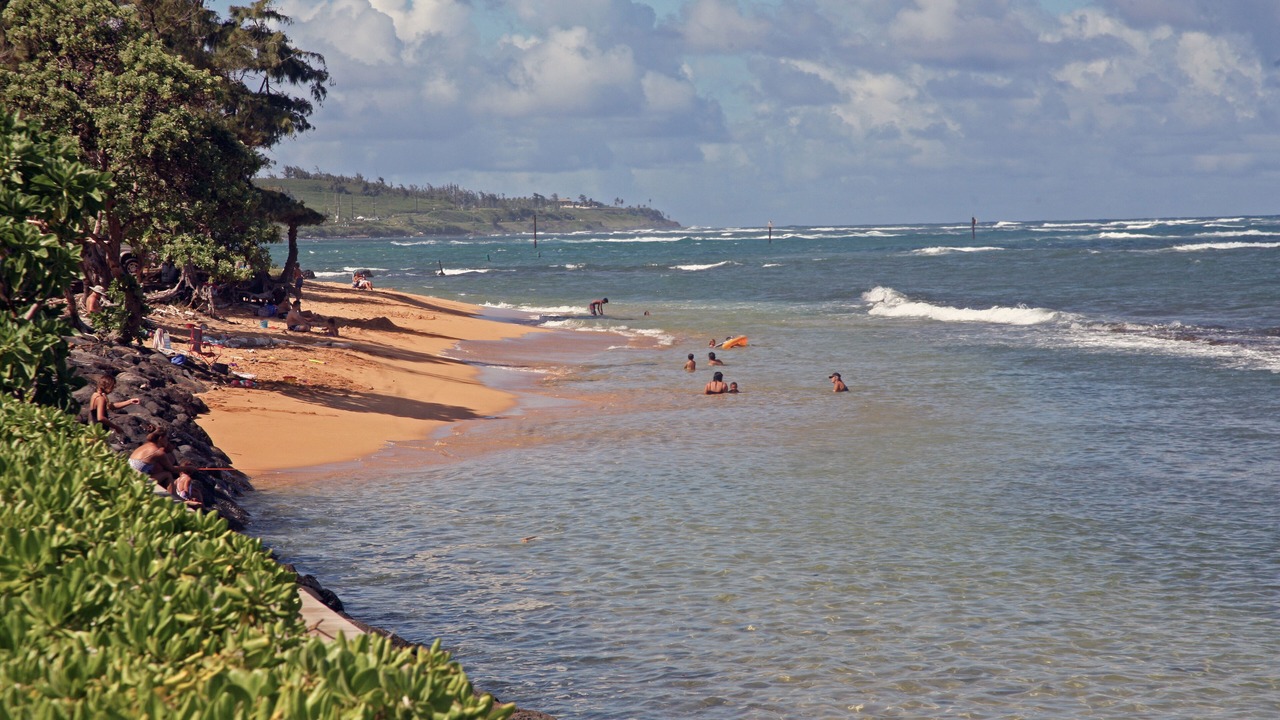 Photo of Others in Kapaa