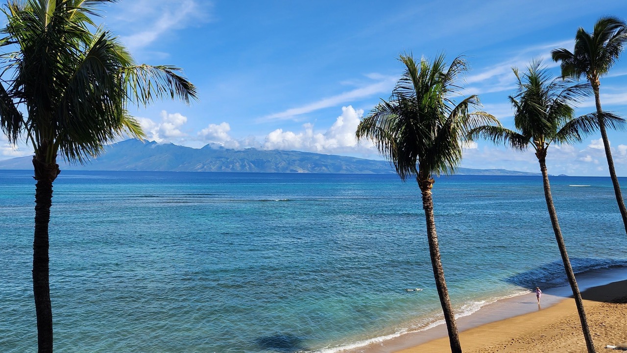 Photo of Others in Kahana