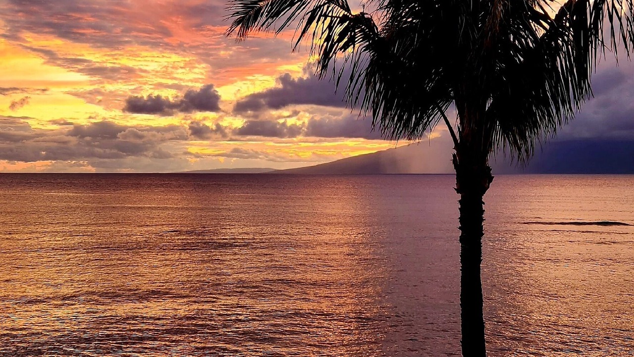Photo of Others in Kahana