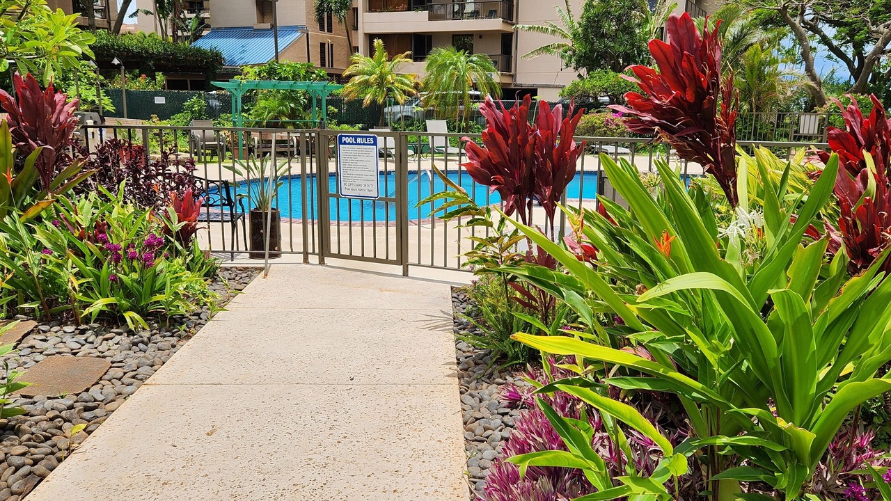 Photo of Outdoor in Kahana