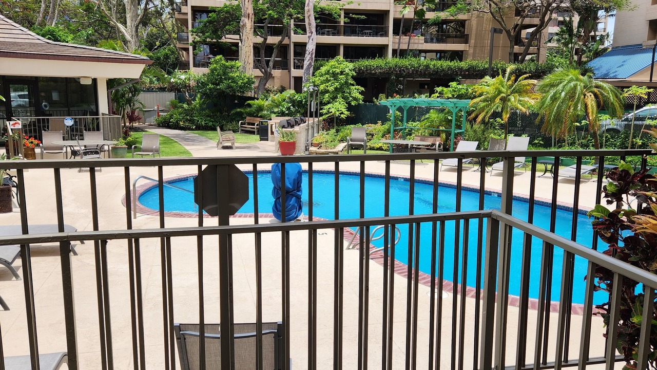 Photo of Outdoor in Kahana