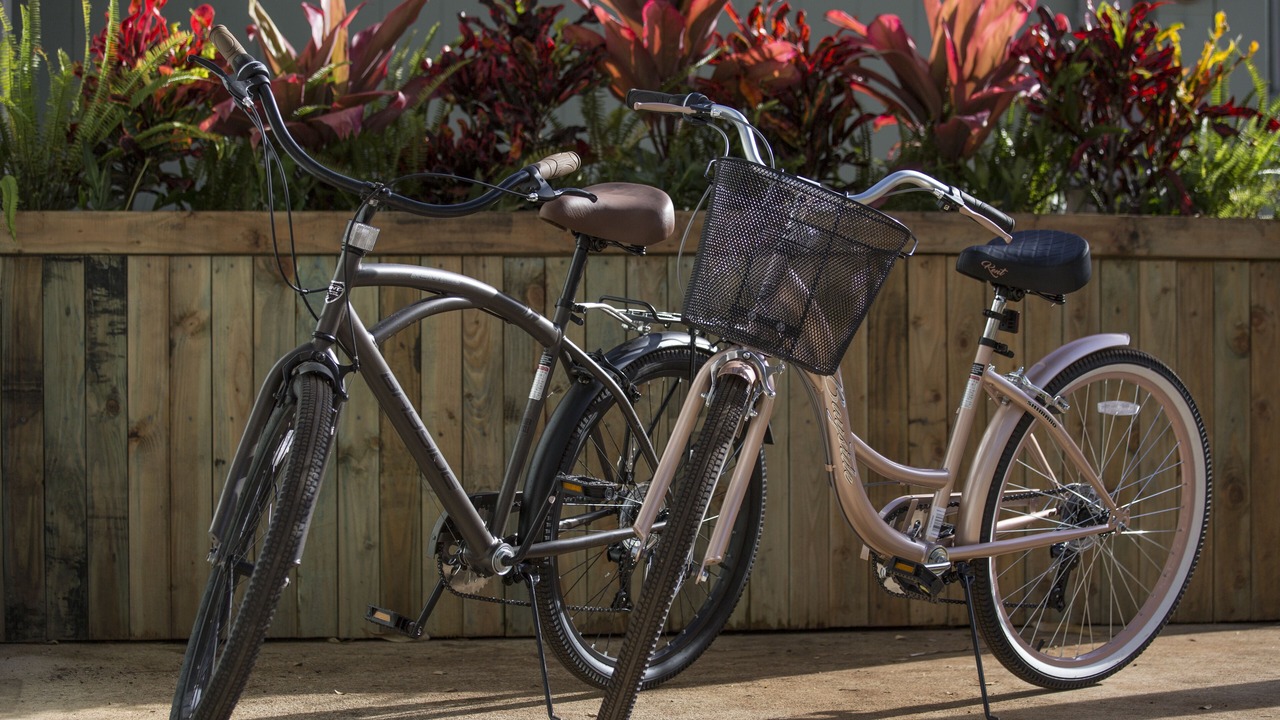 Photo of Outdoor in Haleiwa
