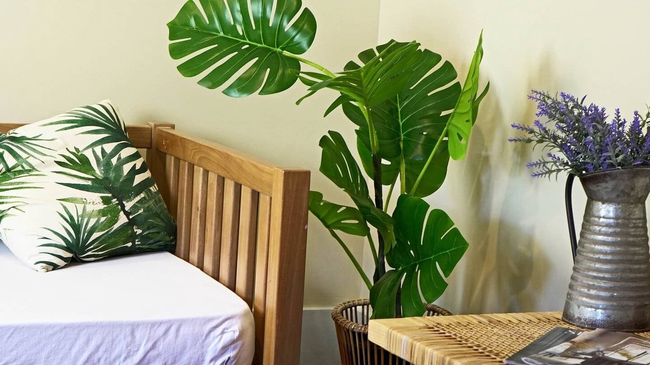 Photo of Bedroom in Haleiwa