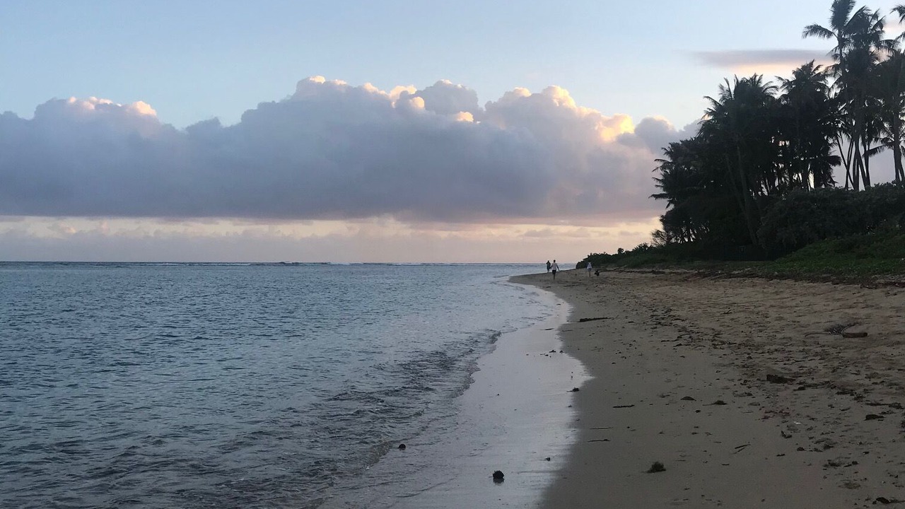 Photo of Others in Kahala