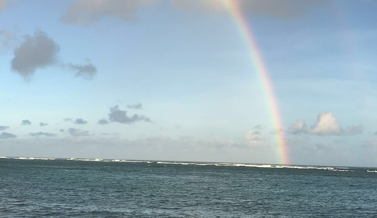 Photo of Others in Kahala