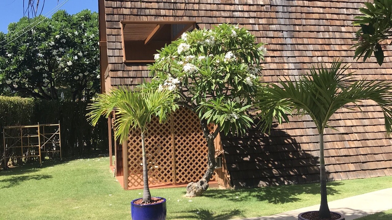 Photo of Outdoor in Kaunakakai