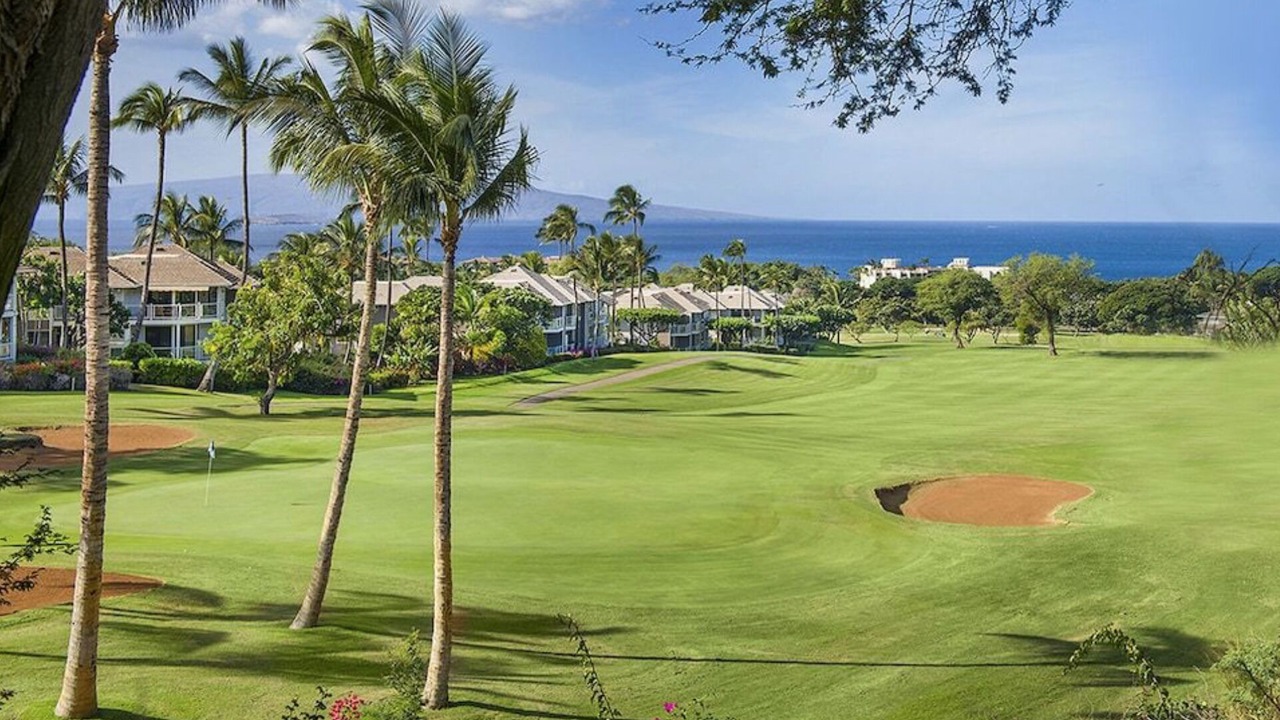 Photo of Others in Wailea