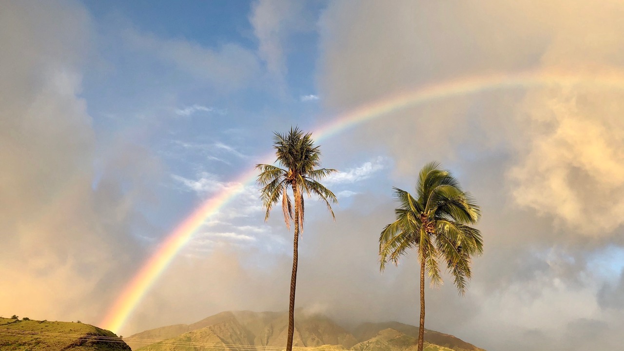 Photo of Others in Wailea