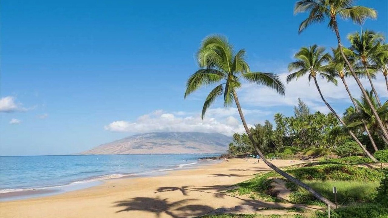 Photo of Others in Wailea