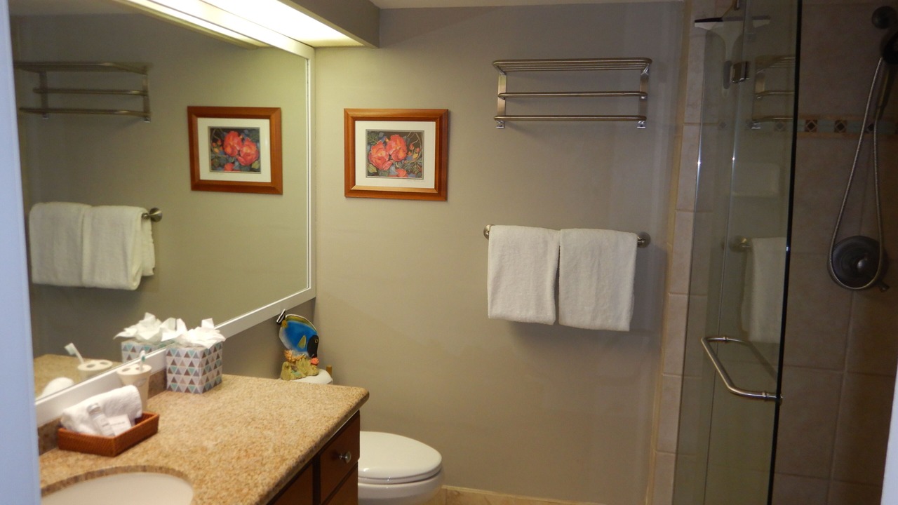 Photo of Bathroom in Historic Kailua Village