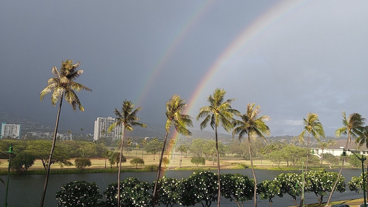Photo of Others in Waikiki