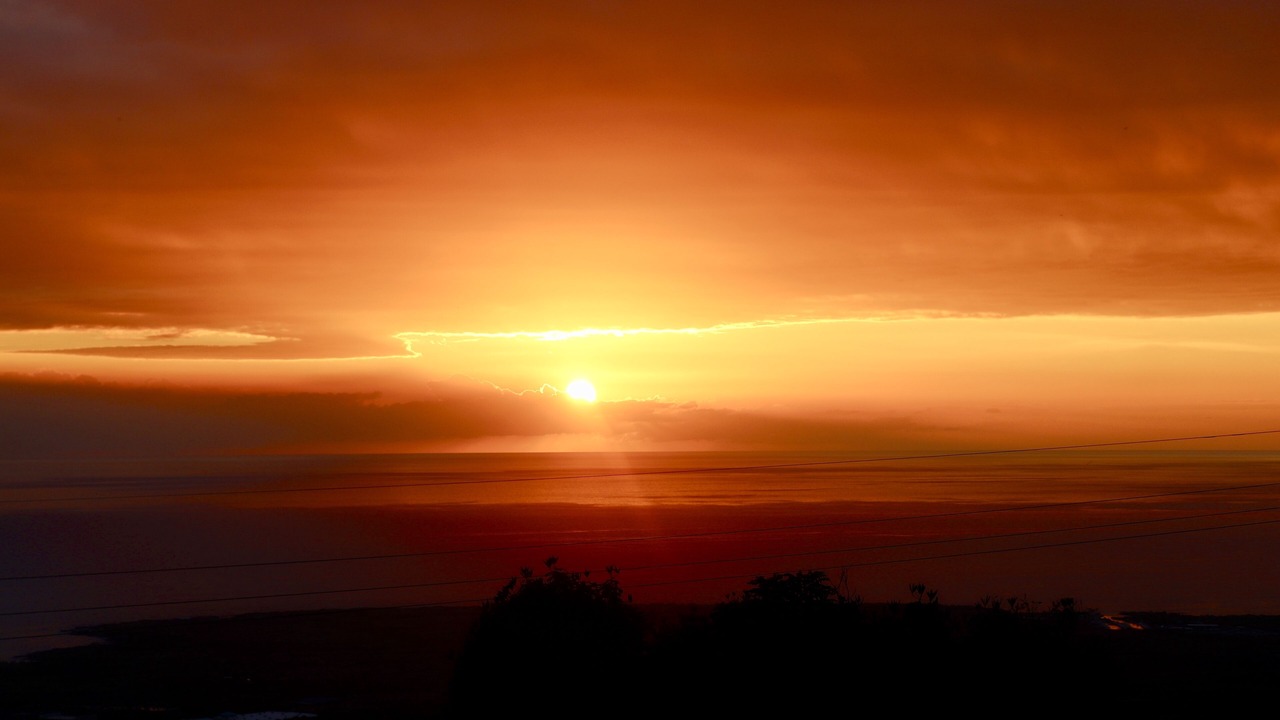 Photo of Others in Holualoa