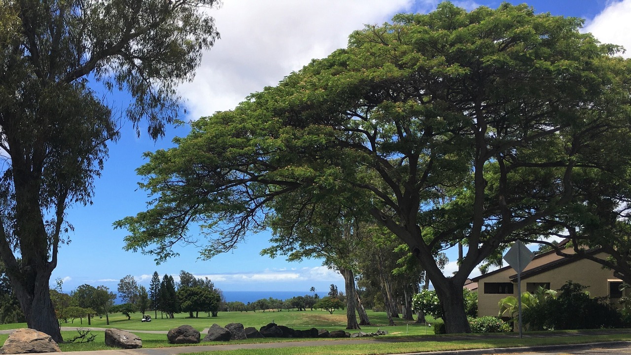Photo of Others in Waikoloa