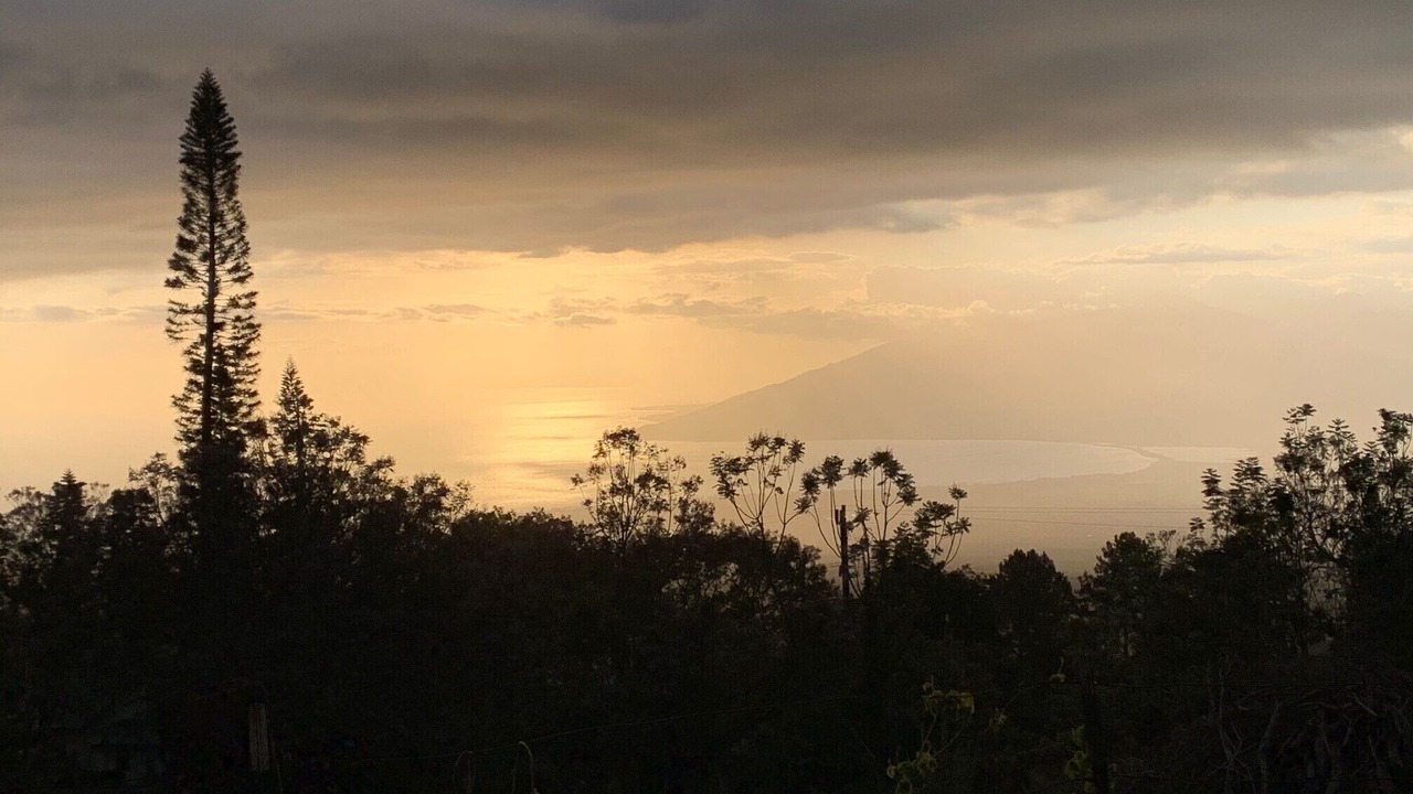 Photo of Others in Kula