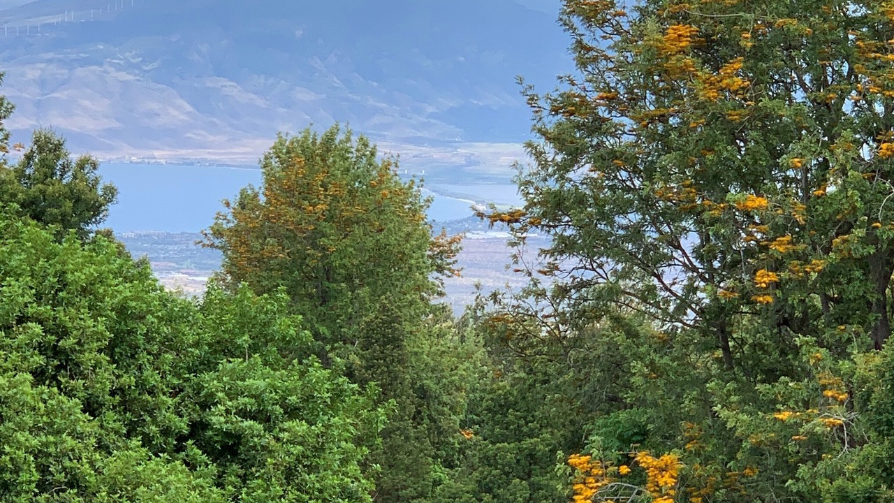 Photo of Outdoor in Kula