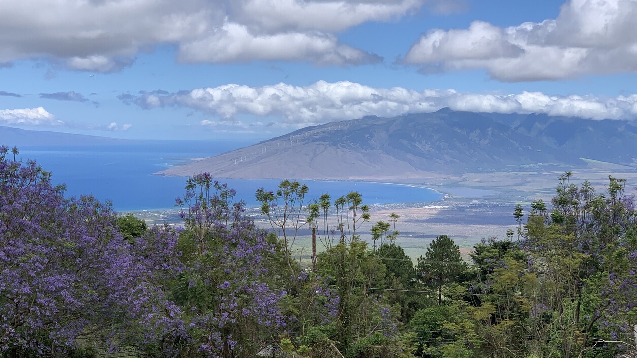 Photo of Others in Kula