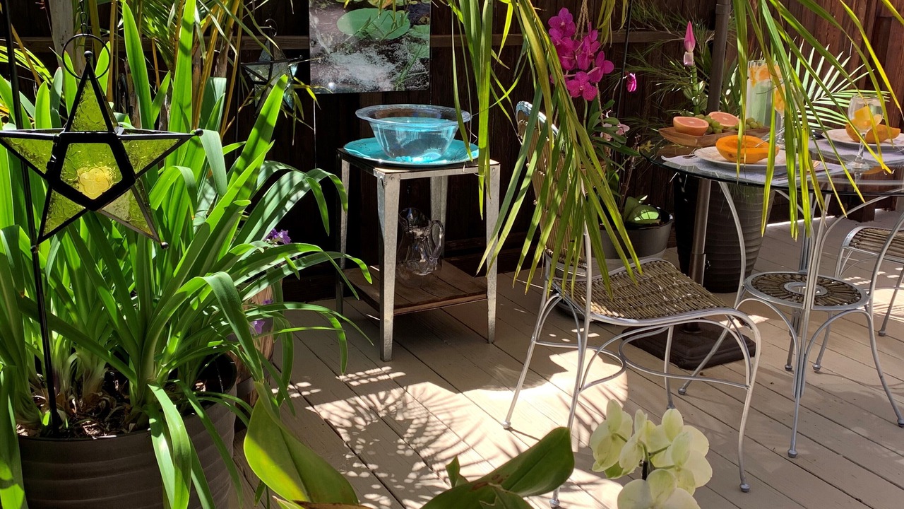 Photo of Outdoor in Kula