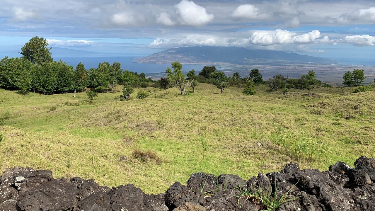 Photo of Others in Kula