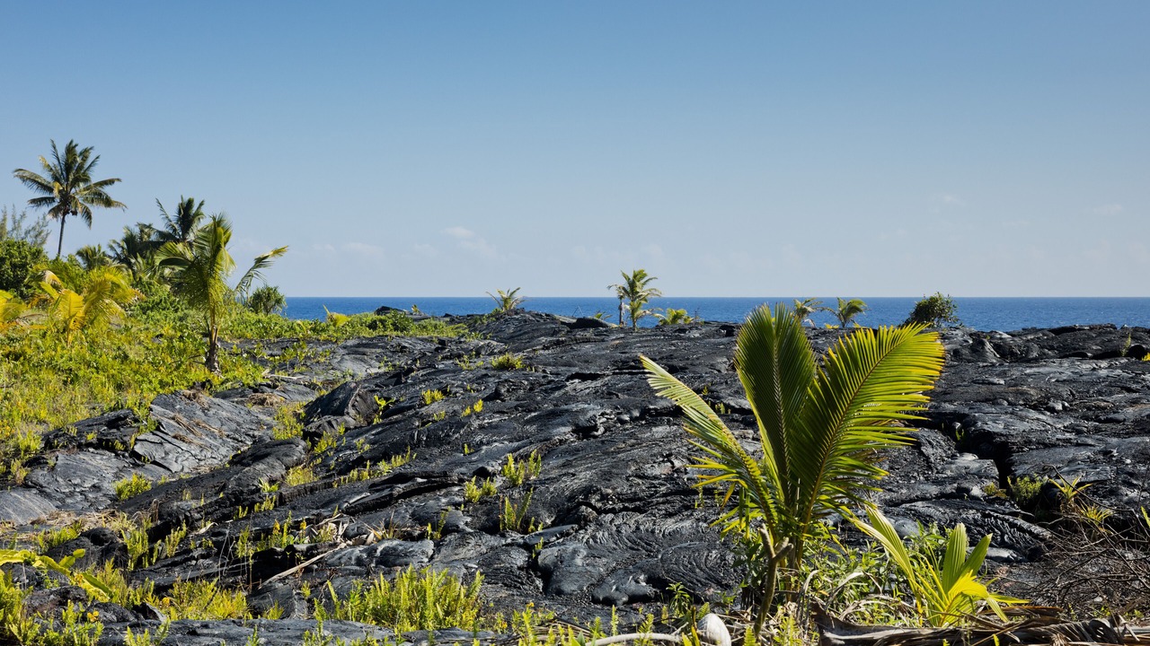 Photo of Outdoor in Kaimu