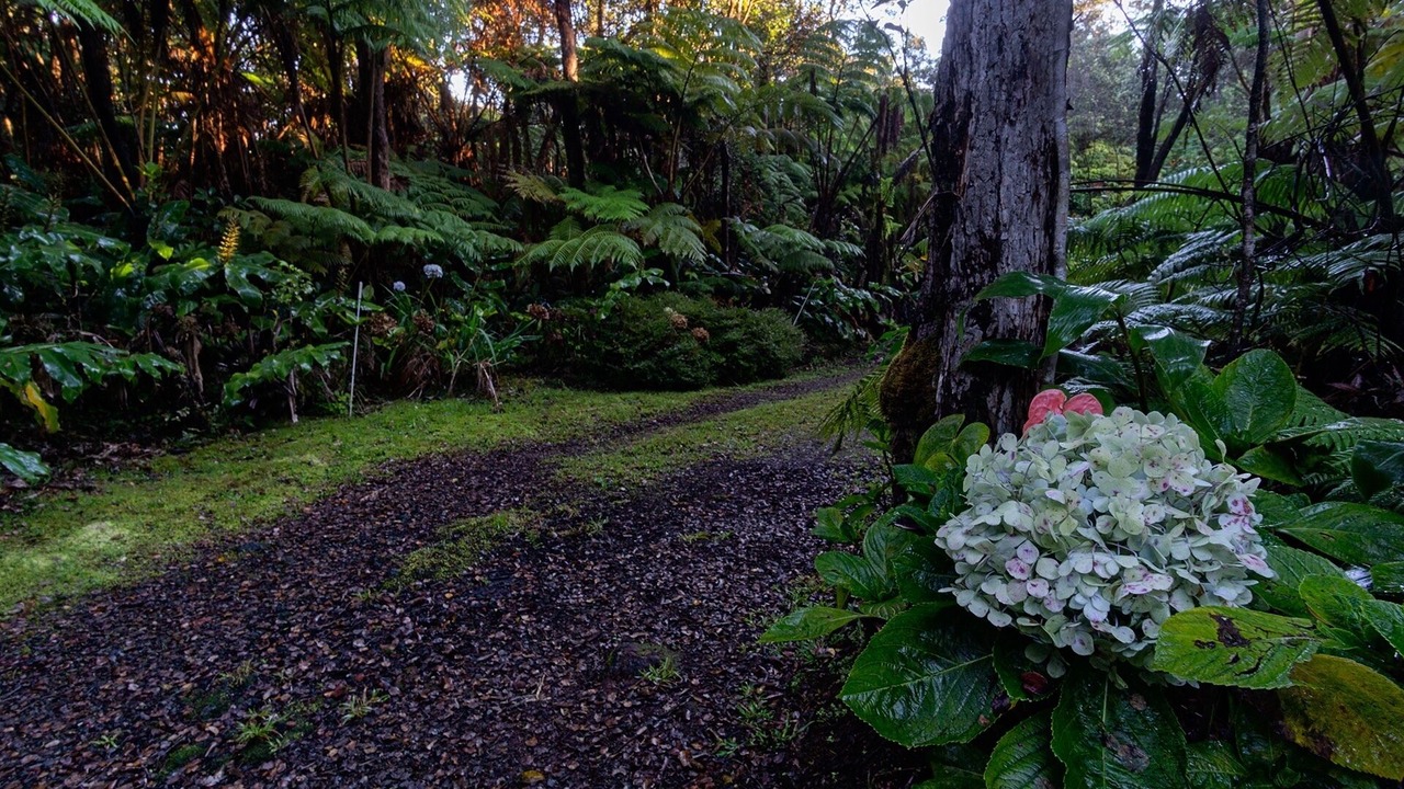 Photo of Outdoor in Volcano