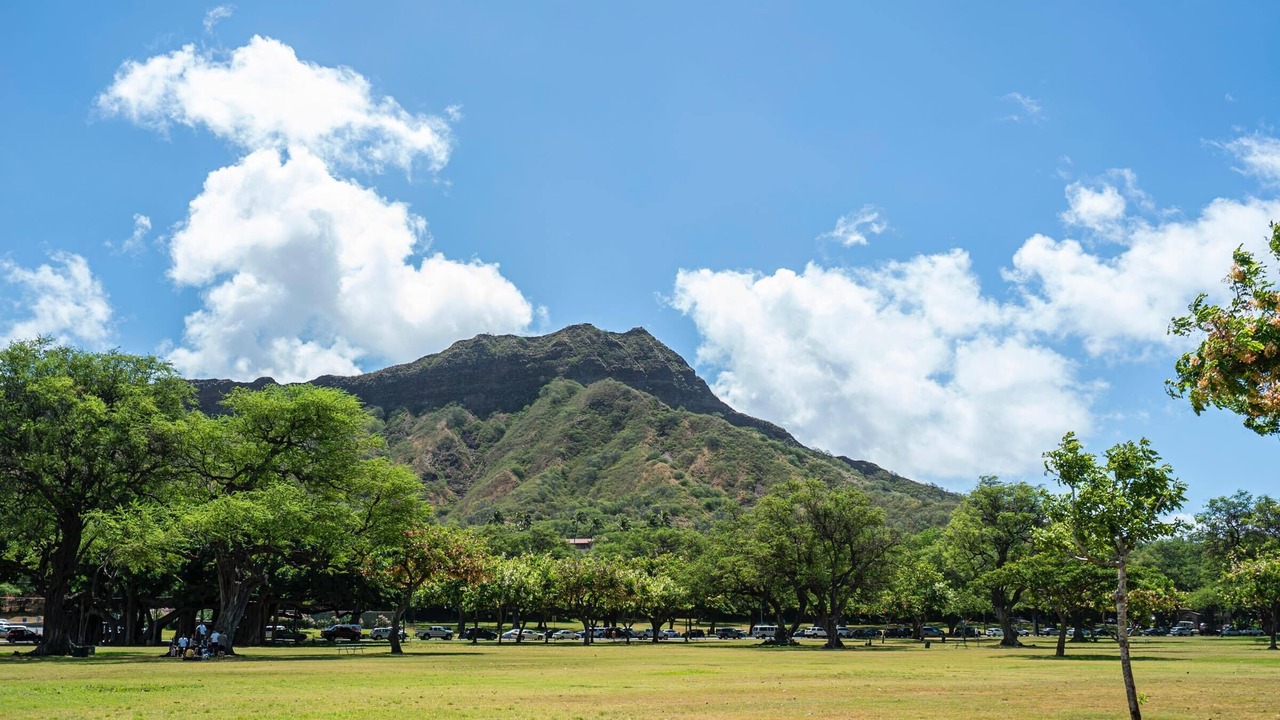 Photo of Others in Diamond Head - Kapahulu - St. Louis