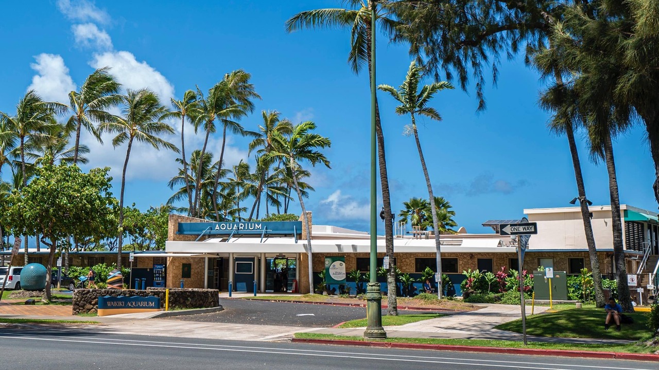 Photo of Outdoor in Diamond Head - Kapahulu - St. Louis