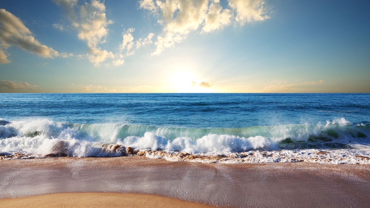 Photo of Others in Waikiki