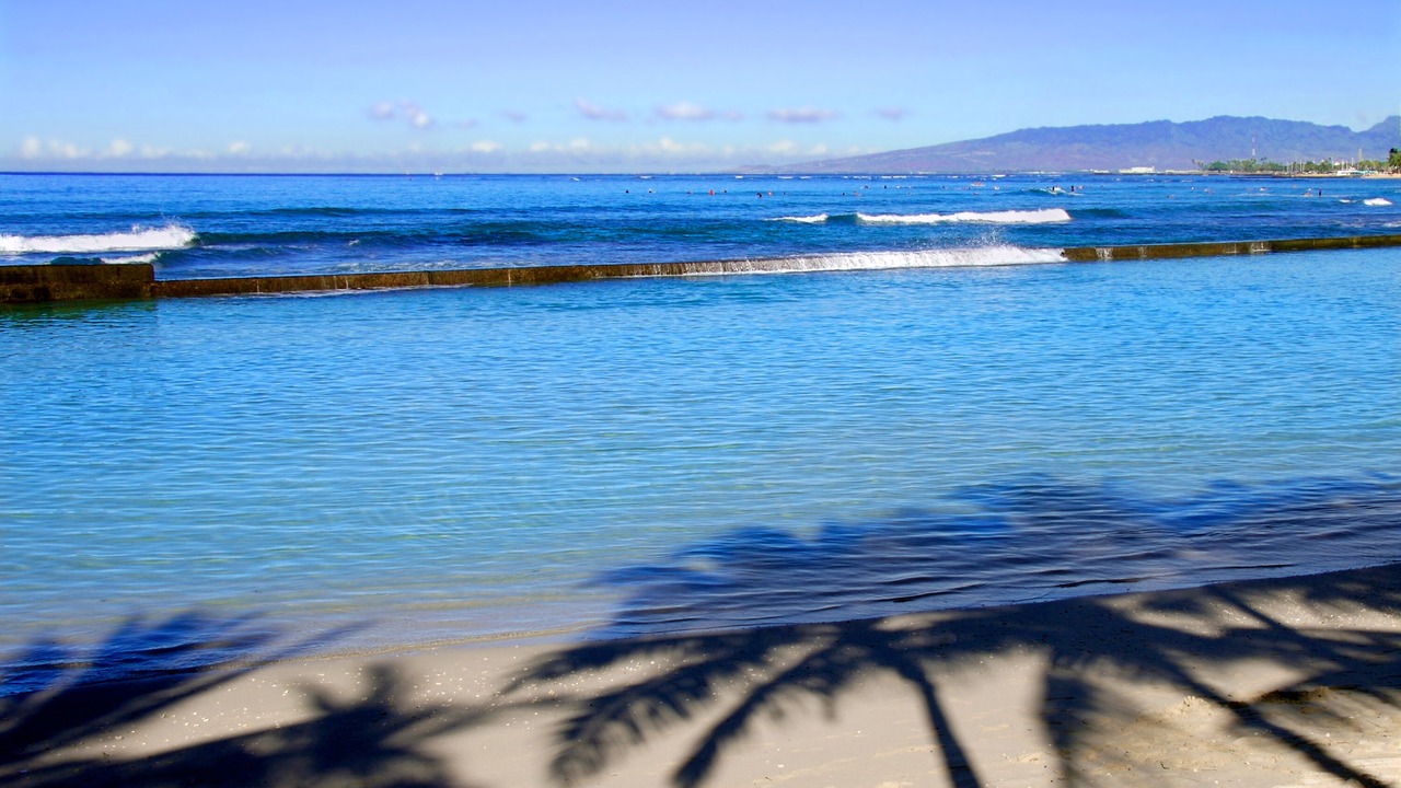 Photo of Others in Waikiki