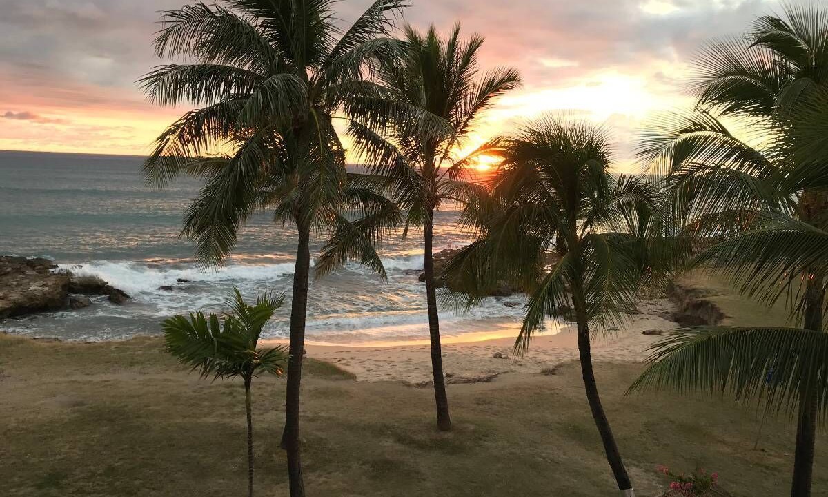 Photo of Others in Makaha