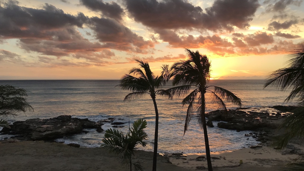 Photo of Others in Makaha
