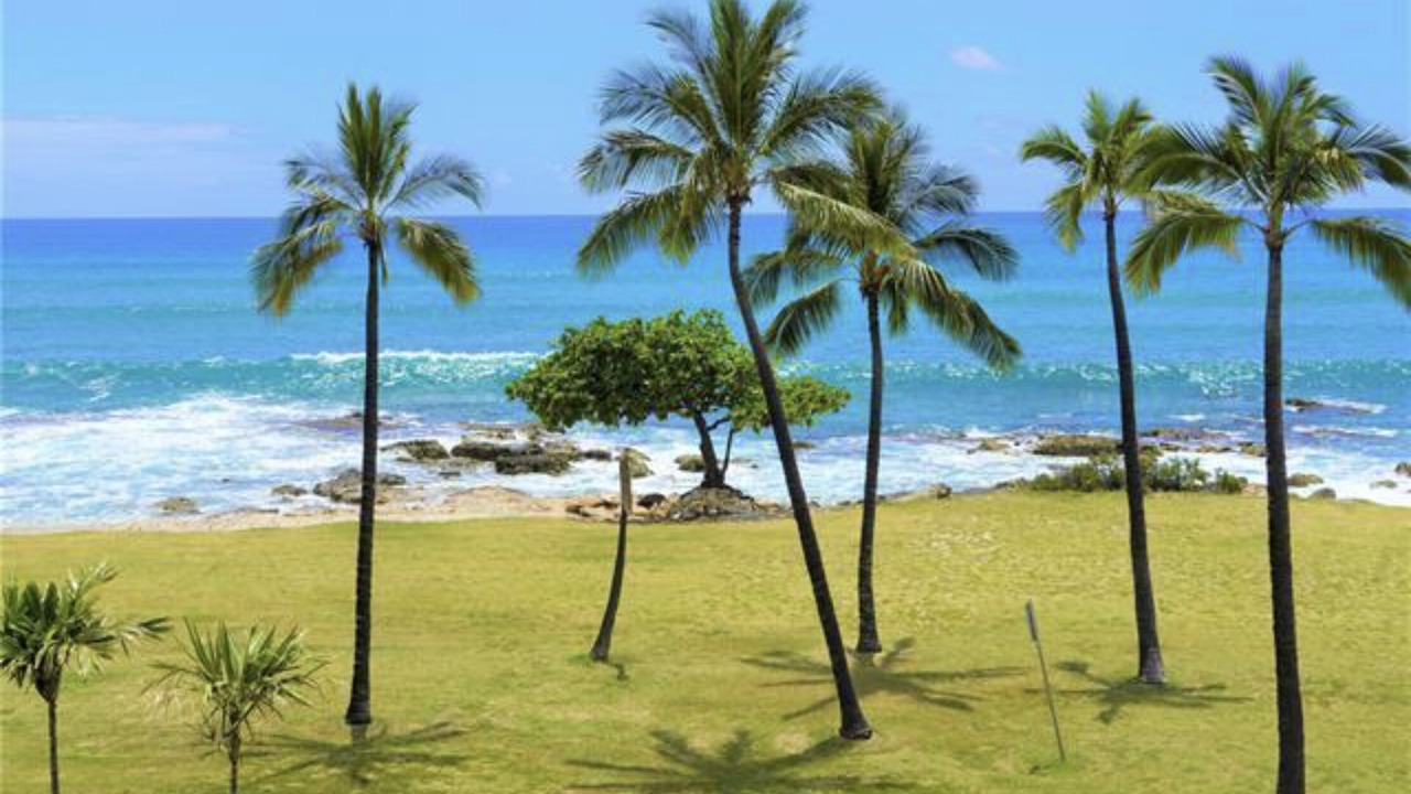 Photo of Others in Makaha