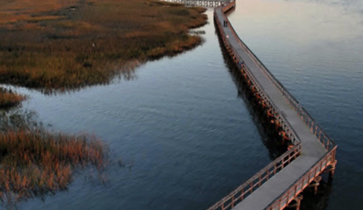 Photo of Others in Beaufort