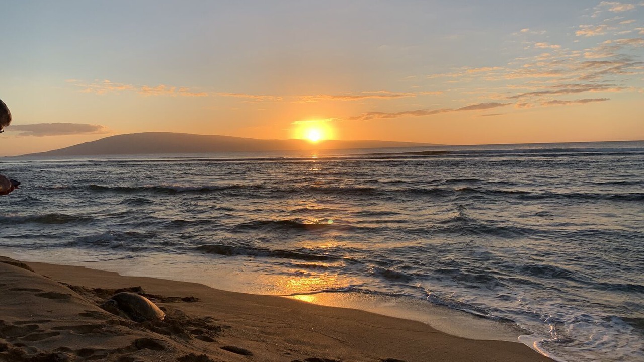 Photo of Others in Honokowai
