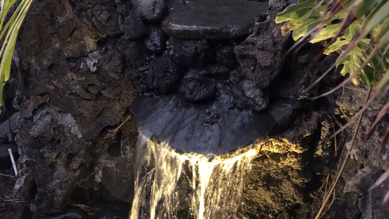 Photo of Others in Kailua-Kona