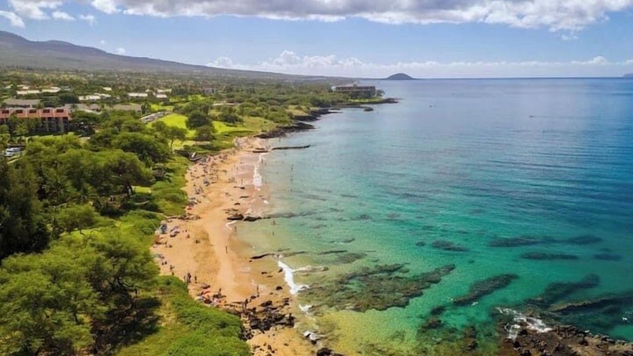 Photo of Others in Kihei