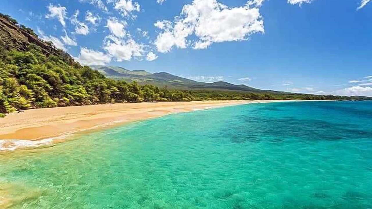 Photo of Others in Kihei