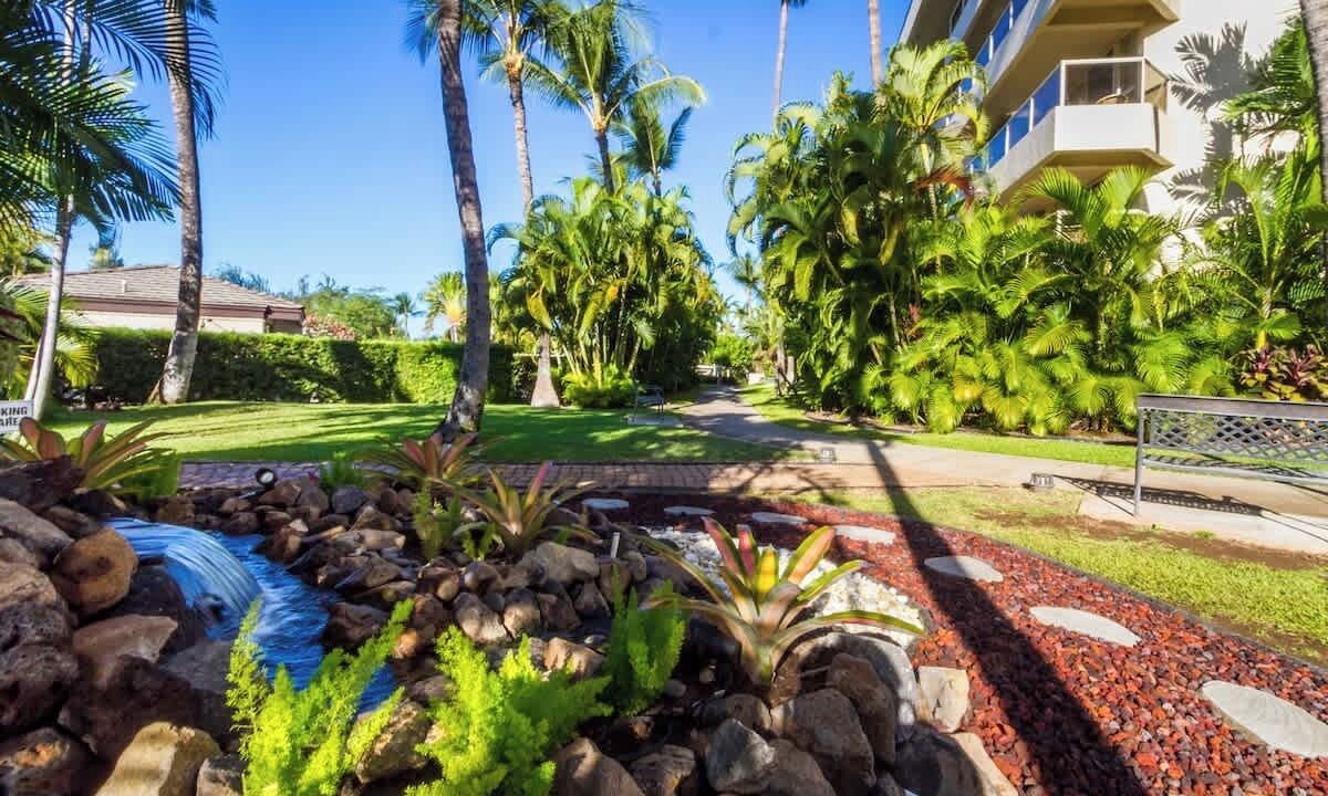 Photo of Outdoor in Kihei