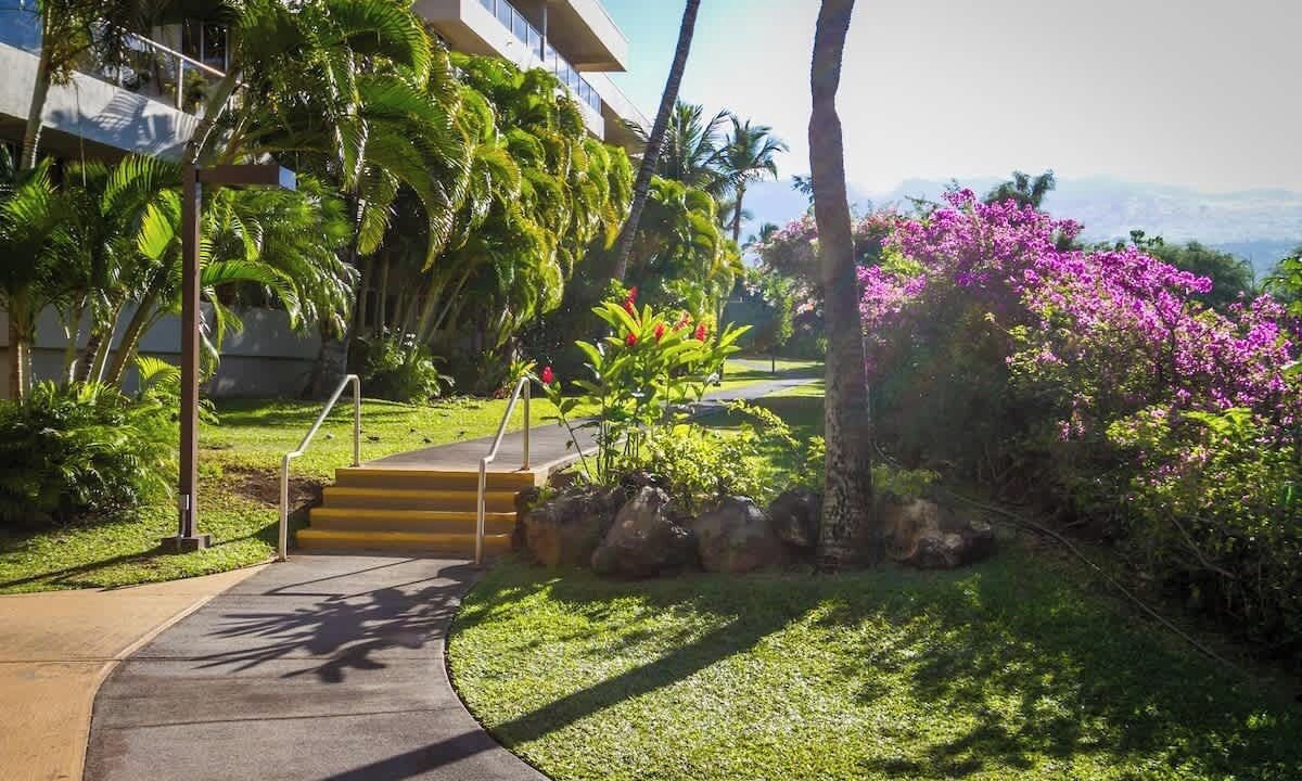 Photo of Outdoor in Kihei