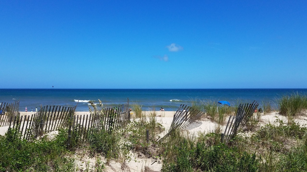 Photo of Others in South Nags Head
