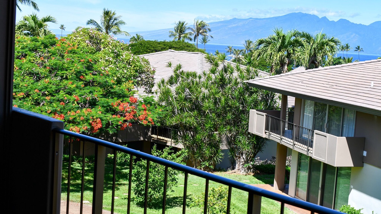 Photo of Outdoor in Kaanapali