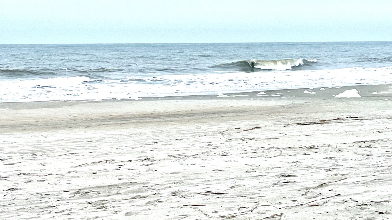 Photo of Others in Folly Field