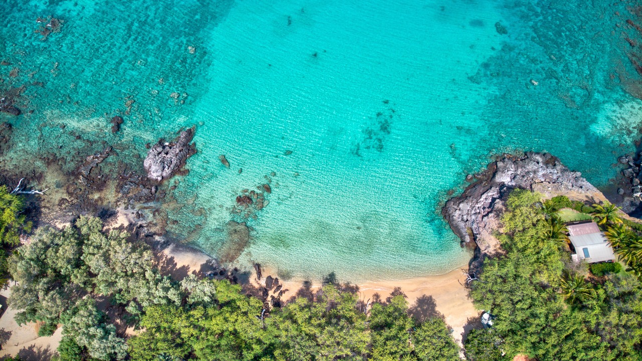 Photo of Others in Puako