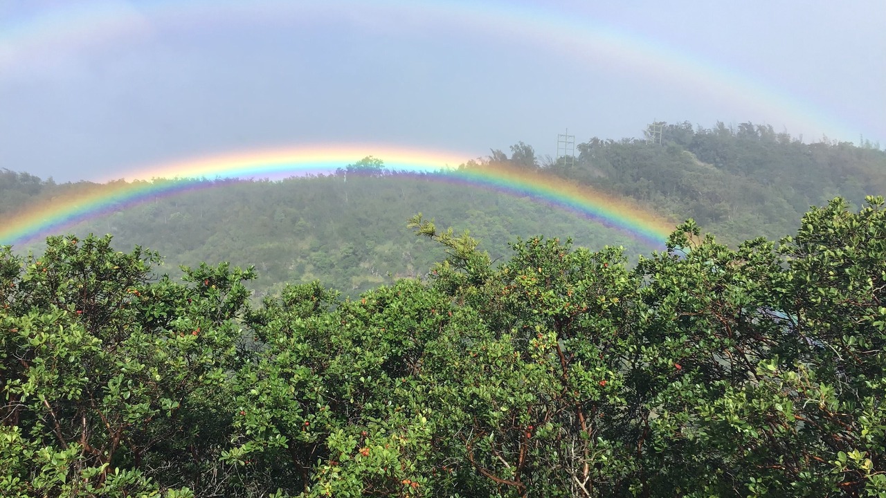 Photo of Others in Haleiwa