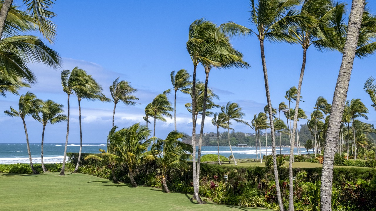 Photo of Others in Hanalei